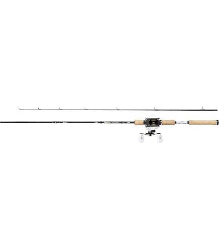 ABU GARCIA Fantasista Deez Nano FDNS-61L MGS Finesse 2 : Amazon.de